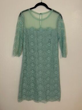 Mint Lace Mesh Dress by BCBG